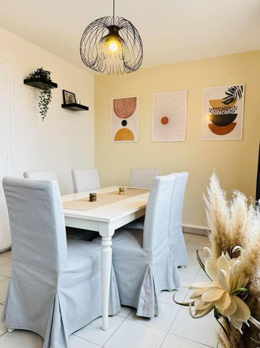 Maison Des Chenizelles ล็อง ภายนอก รูปภาพ